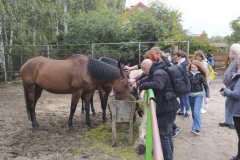 Relacja. Warsztaty w Zagrodzie Edukacyjnej Konarzew