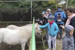 Relacja. Warsztaty w Zagrodzie Edukacyjnej Konarzew