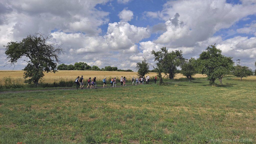 Uczestnicy wycieczki idący polną drogą w kierunku wieży widokowej w Glinnie