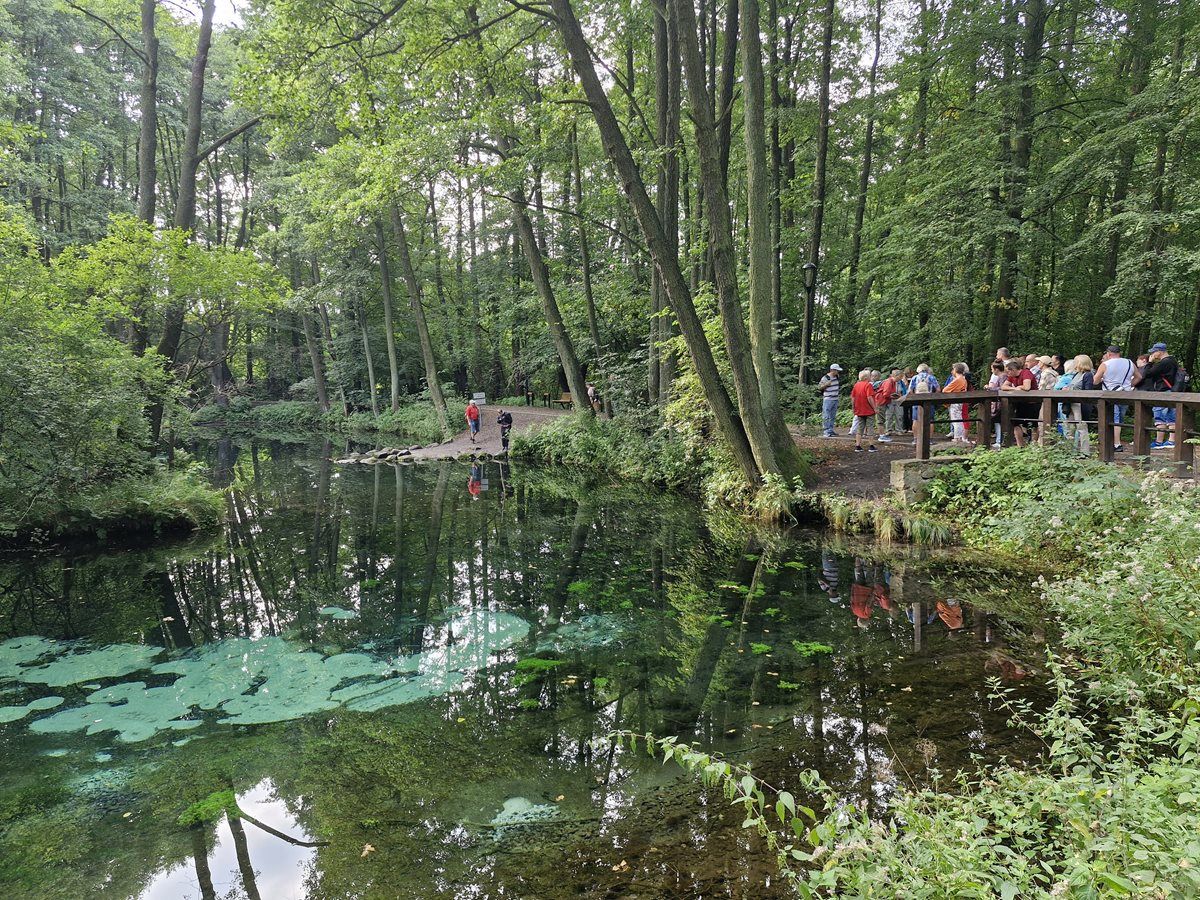 Grupa ludzi stoi nad wodą w rezerwacie „Niebieskie Źródła”. Wokoło znajdują się zielone krzewy i drzewa