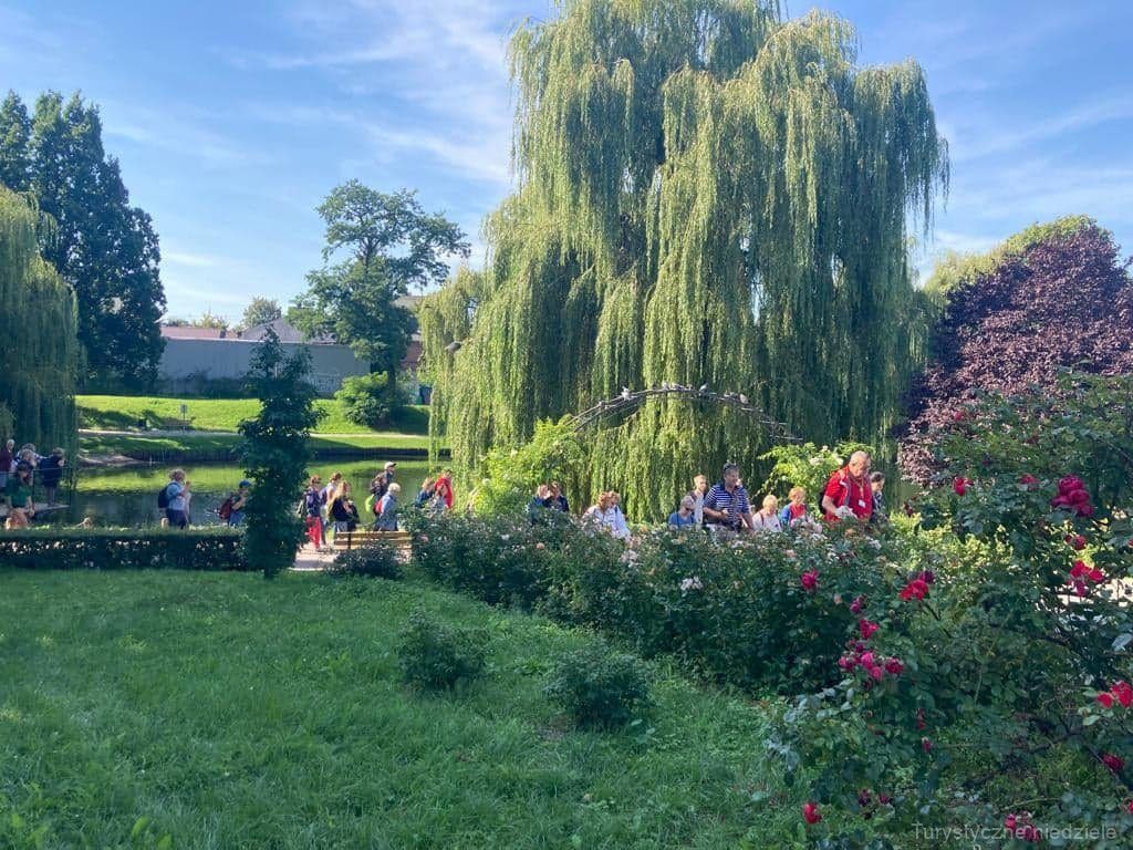 Teren parku im. R. Traugutta , na dalszym planie uczestnicy wyjazdu przemierzający przez park.