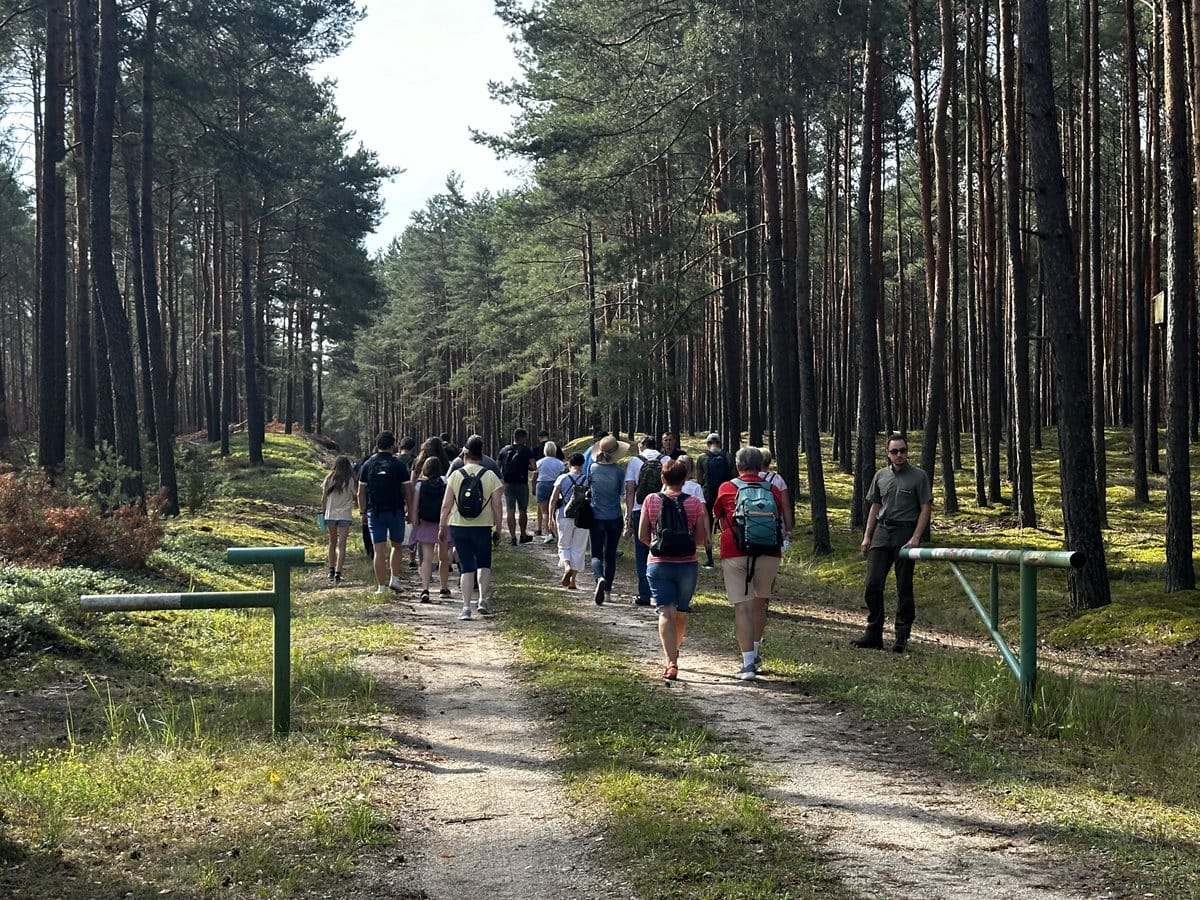 Grupa osób wchodząca do lasu przez otwarty szlaban leśny