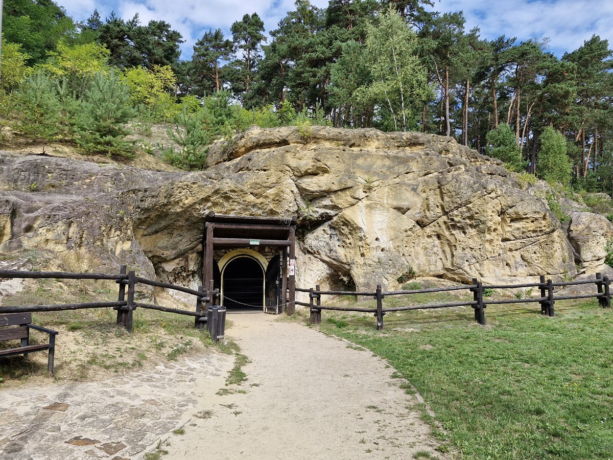 Ścieżka prowadząca do wnętrza Grot Nagórzyckich. Na grotach rosną zielone drzewa.