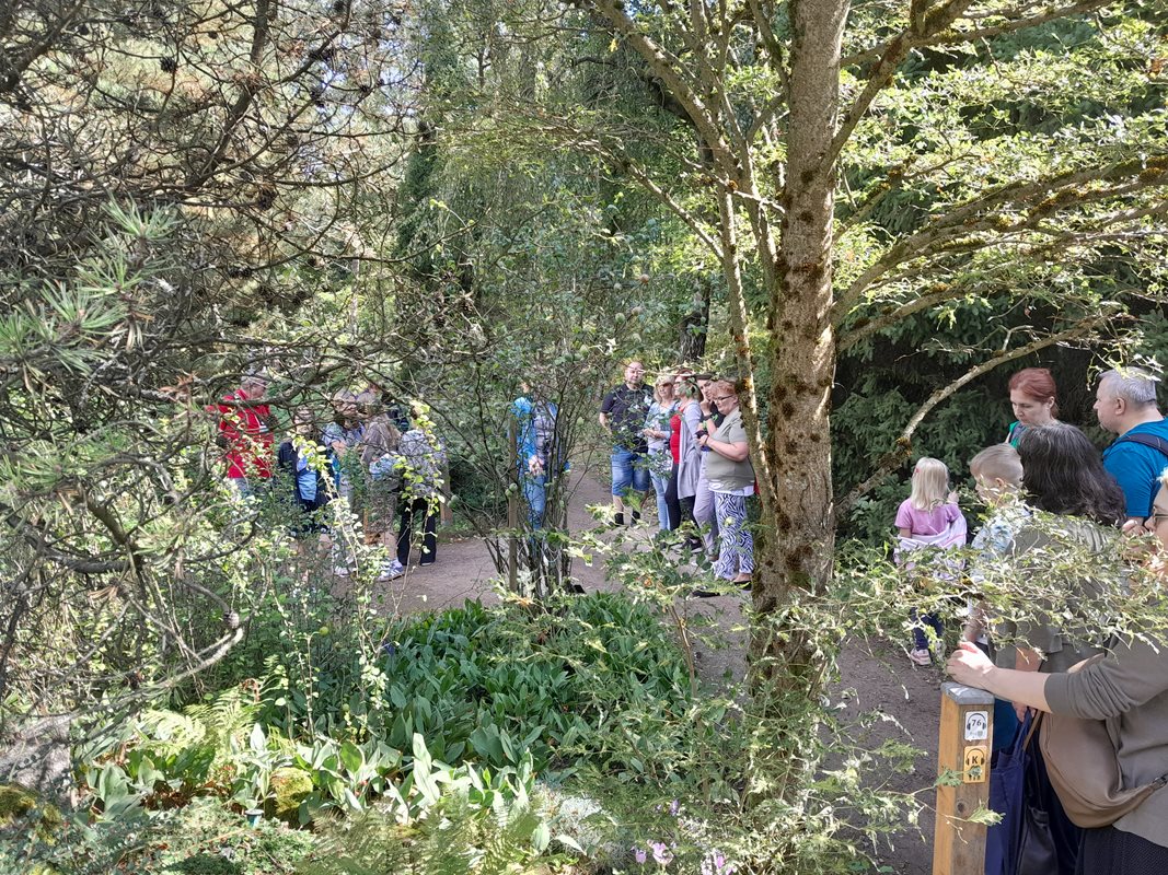 Turyści stojący oraz siedzący w otoczeniu jednego z okazów Arboretum